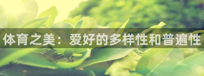 k1体育下载链接：体育之美：爱好的多样性和普遍性