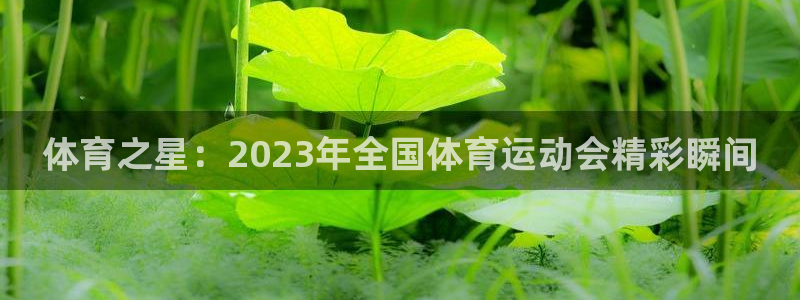 k1体育十年品牌值得信赖：体育之星：2023年全国体育运动会精彩瞬间