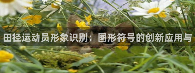 k1体育十年品牌：田径运动员形象识别：图形符号的创新应用与