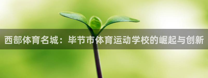 k1体育网站登录官网：西部体育名城：毕节市体育运动学校的崛起与创新