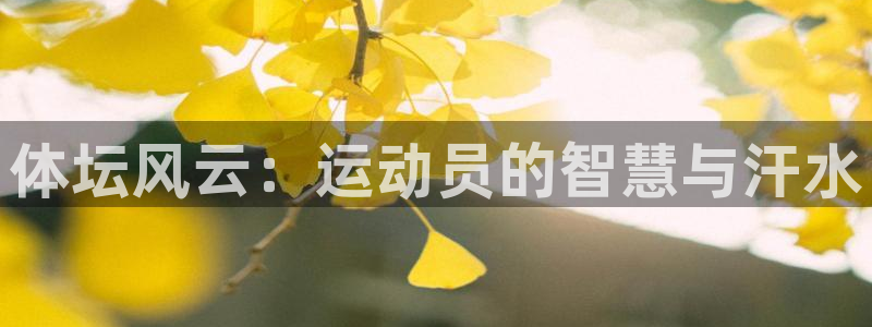 k1体育app下载链接：体坛风云：运动员的智慧与汗水