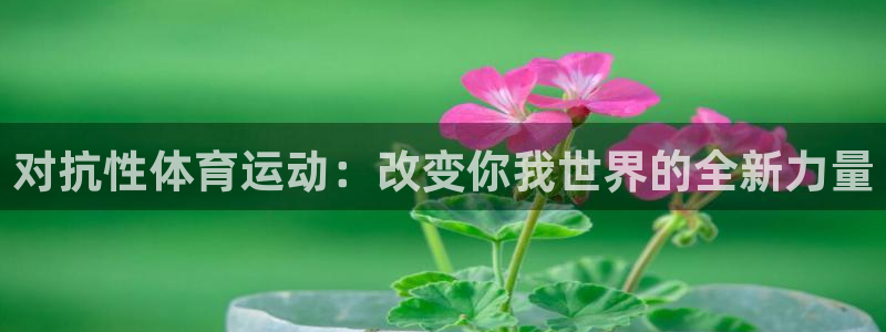 k1体育平台最新网站下载：对抗性体育运动：改变你我世界的全新力量