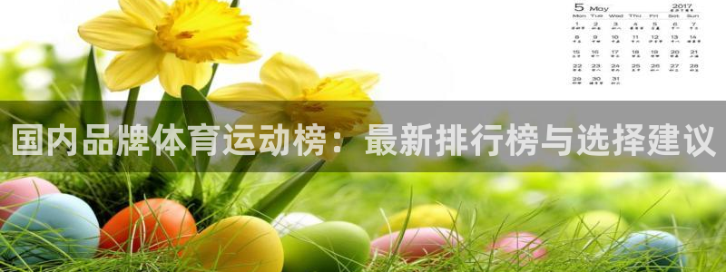 帮k1体育在线登录：国内品牌体育运动榜：最新排行榜与选择建议