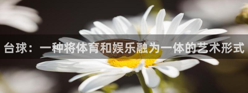 k1体育十年品牌值得信赖：台球：一种将体育和娱乐融为一体的艺术形式