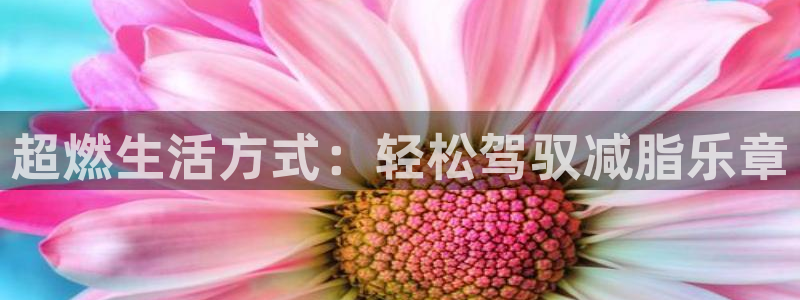k1体育下载链接：超燃生活方式：轻松驾驭减脂乐章