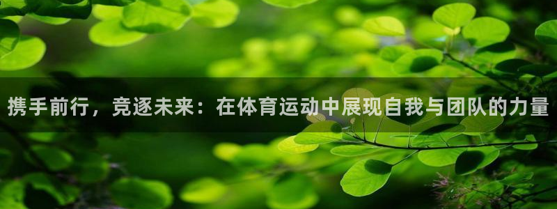 k1体育十年品牌值得信赖网址：携手前行，竞逐未来：在体育运动中展现自我与团队的力量